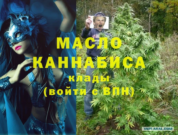 индика Балабаново