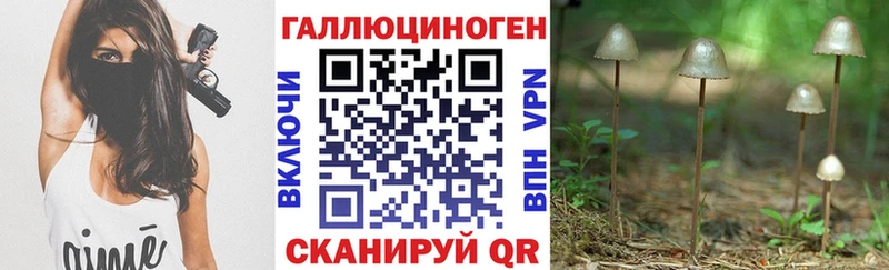 маркетплейс какой сайт  Югорск  Псилоцибиновые грибы Psilocybe 
